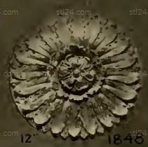 ROSETTE_1790